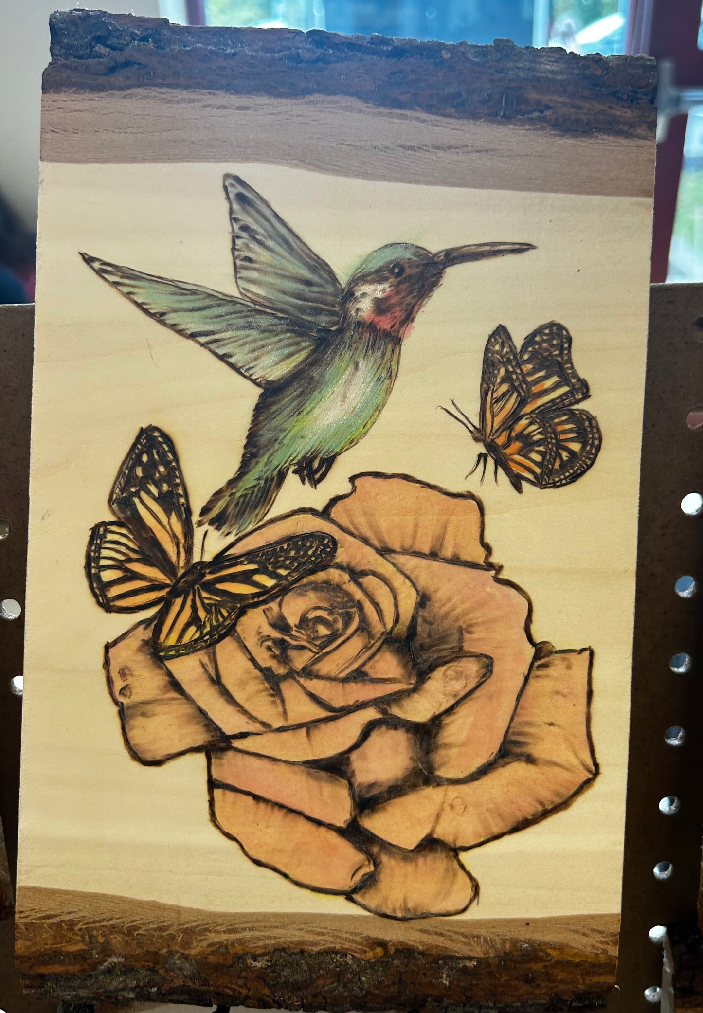 Hummingbird and rose